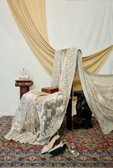 Tissue Saree in Ivory Silver - Zardosi Work