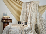 Tissue Saree in Ivory Silver - Zardosi Work